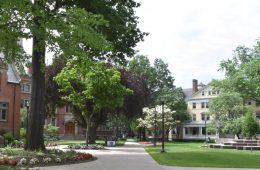 Photo of the Mather Quad looking down a pathway leading toward buildings