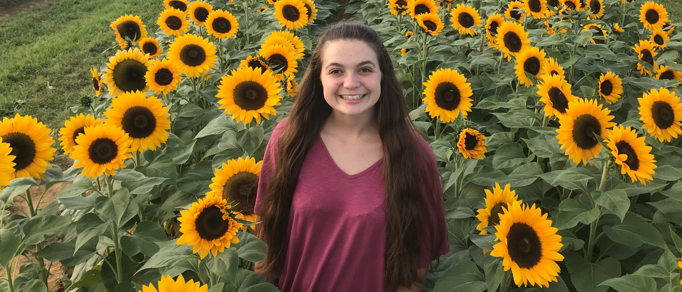 Photo of Alex Welsh standing in a field of sunflowers