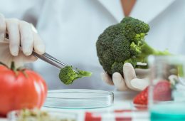 Photo of a scientist wearing a white coat and gloves holds broccoli with tweezers and places it in a petri dish