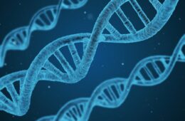 Photo illustration of DNA strands