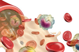An illustration showing the different elements of human blood, including red and white cells and platelets
