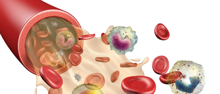 An illustration showing the different elements of human blood, including red and white cells and platelets