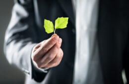 Photo of a person in a suit holding green leaves signifying sustainability