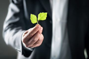 Photo of a person in a suit holding green leaves signifying sustainability