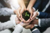 Photo of business people holding a growing plant in their hands