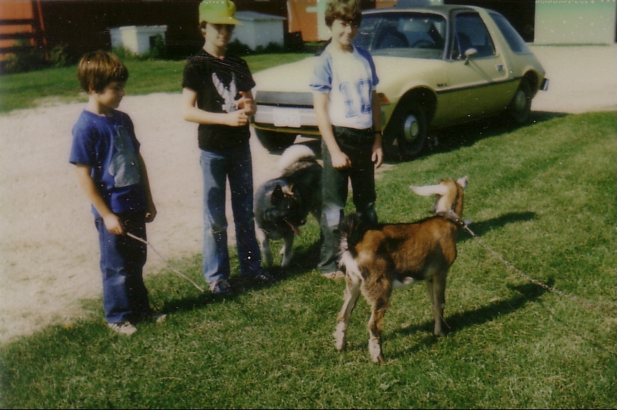 Photo from circa 1970s of three children standing outdoors next to a goat