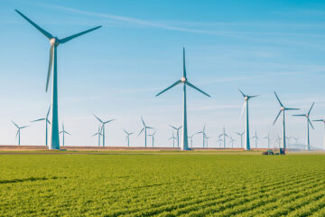energy-producing windmills in a cultivated field