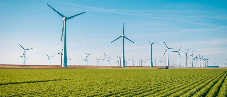energy-producing windmills in a cultivated field