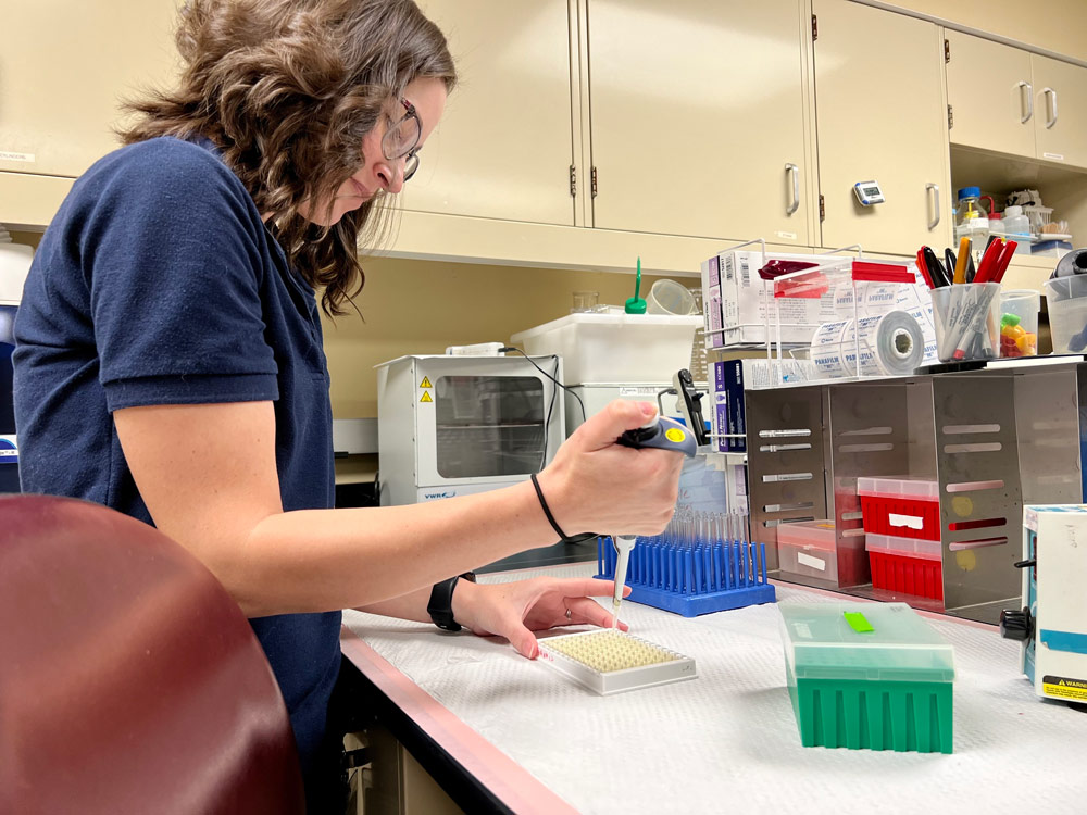 Photo of Kaylin Tennant working in the lab