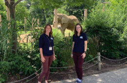 Photo of Maura Plocek and Kaylin Tennant posing for a photo at the zoo in front of an elephant in an elclosure