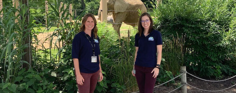 Photo of Maura Plocek and Kaylin Tennant posing for a photo at the zoo in front of an elephant in an elclosure