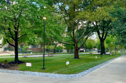 Photo of the newly renovated Case Quad showing paths and trees and signage on the grass