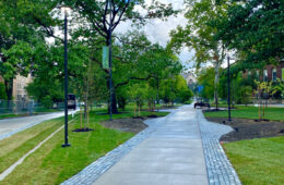 Photo of a newly renovated path on Case Quad lined by trees