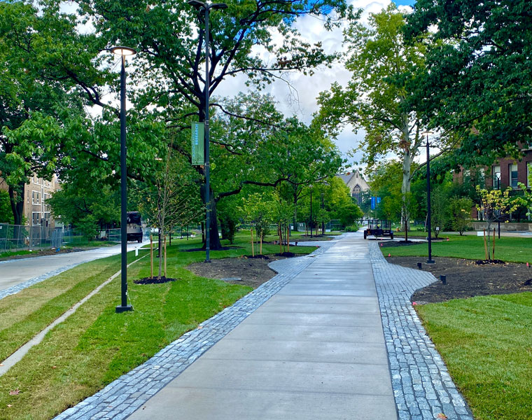Photo of a newly renovated path on Case Quad lined by trees