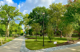 Photo of the newly renovated Case Quad showing paths and trees