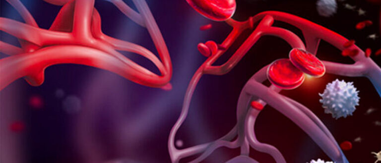 an artist's rendering of blood molecules
