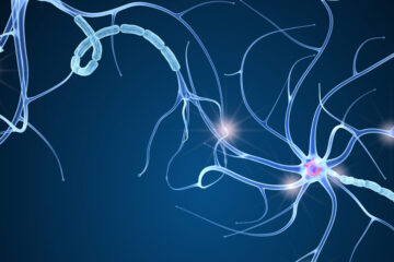 Photo illustration of nerve cell anatomy