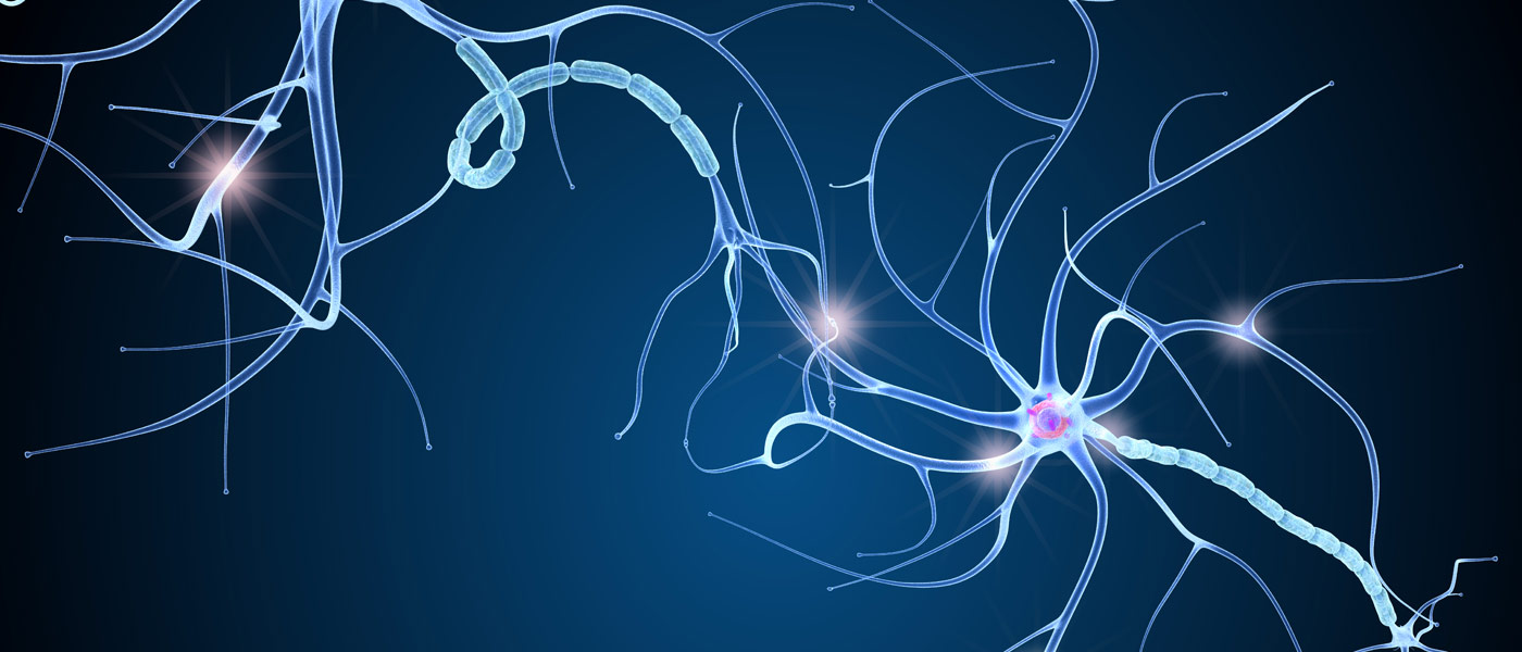 Photo illustration of nerve cell anatomy