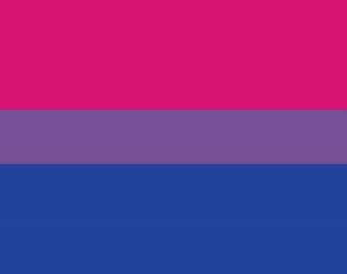 Photo of the bisexual pride flag