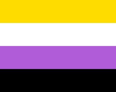 Photo of the non-binary pride flag