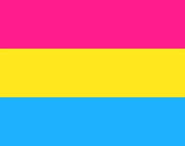 Photo of the pansexual pride flag