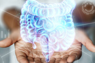 photo illustration of a pair of hands holding a hologram of the human 'gut' or digestive system