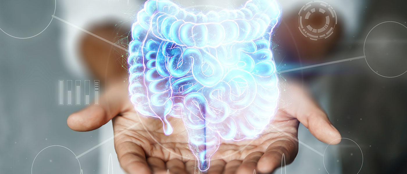 photo illustration of a pair of hands holding a hologram of the human 'gut' or digestive system
