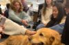 A group of students pet a therapy dog in the Kelvin Smith library.