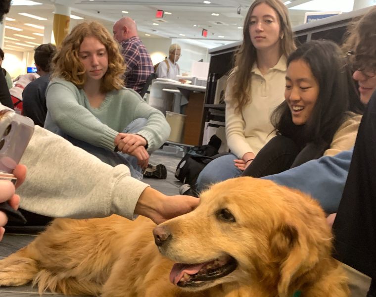 A group of students pet a therapy dog in the Kelvin Smith library.