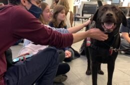 Students petting a therapy dog