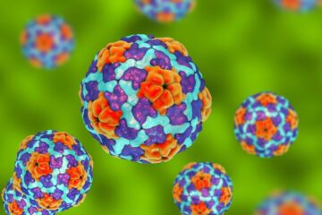 3D Illustration of Heptitis A viruses on colorful background