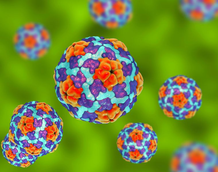 3D Illustration of Heptitis A viruses on colorful background