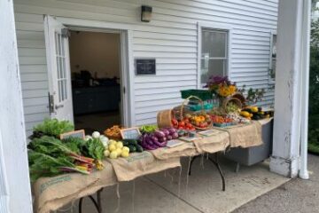 View of fruit and vegetable stand at University Farm