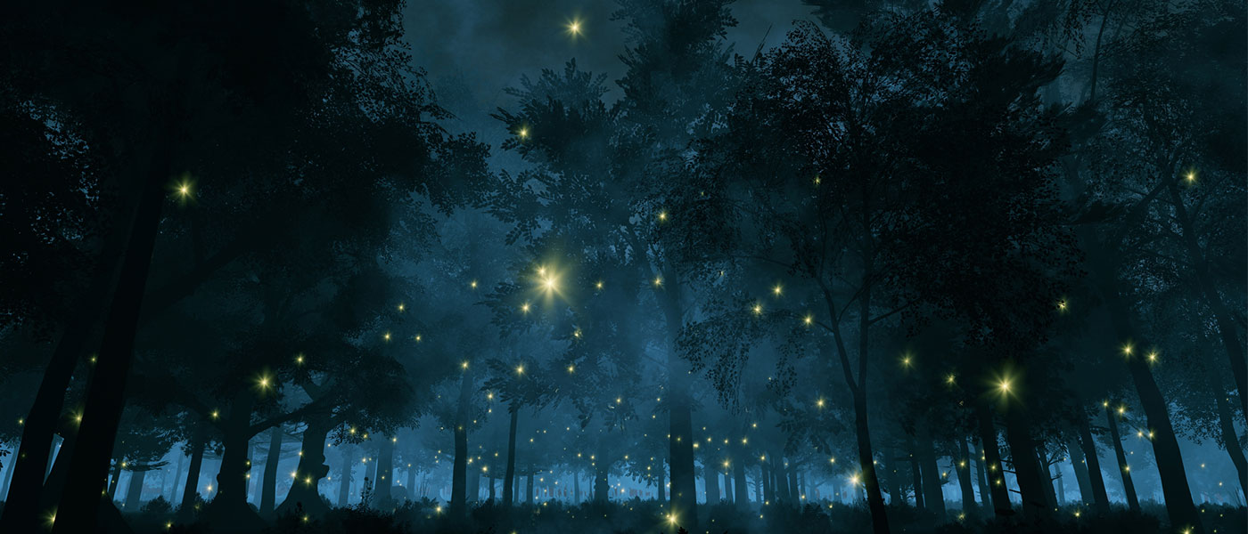 nighttime photograph showing the yellow glow of thousands of fireflies against a blue and black background