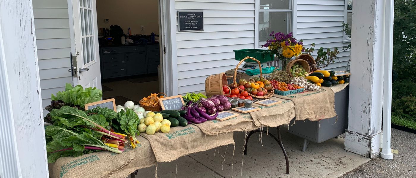 View of fruit and vegetable stand at University Farm