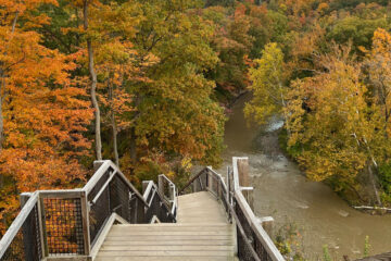 View of tree leaves changing colors at Rocky River Reservation.