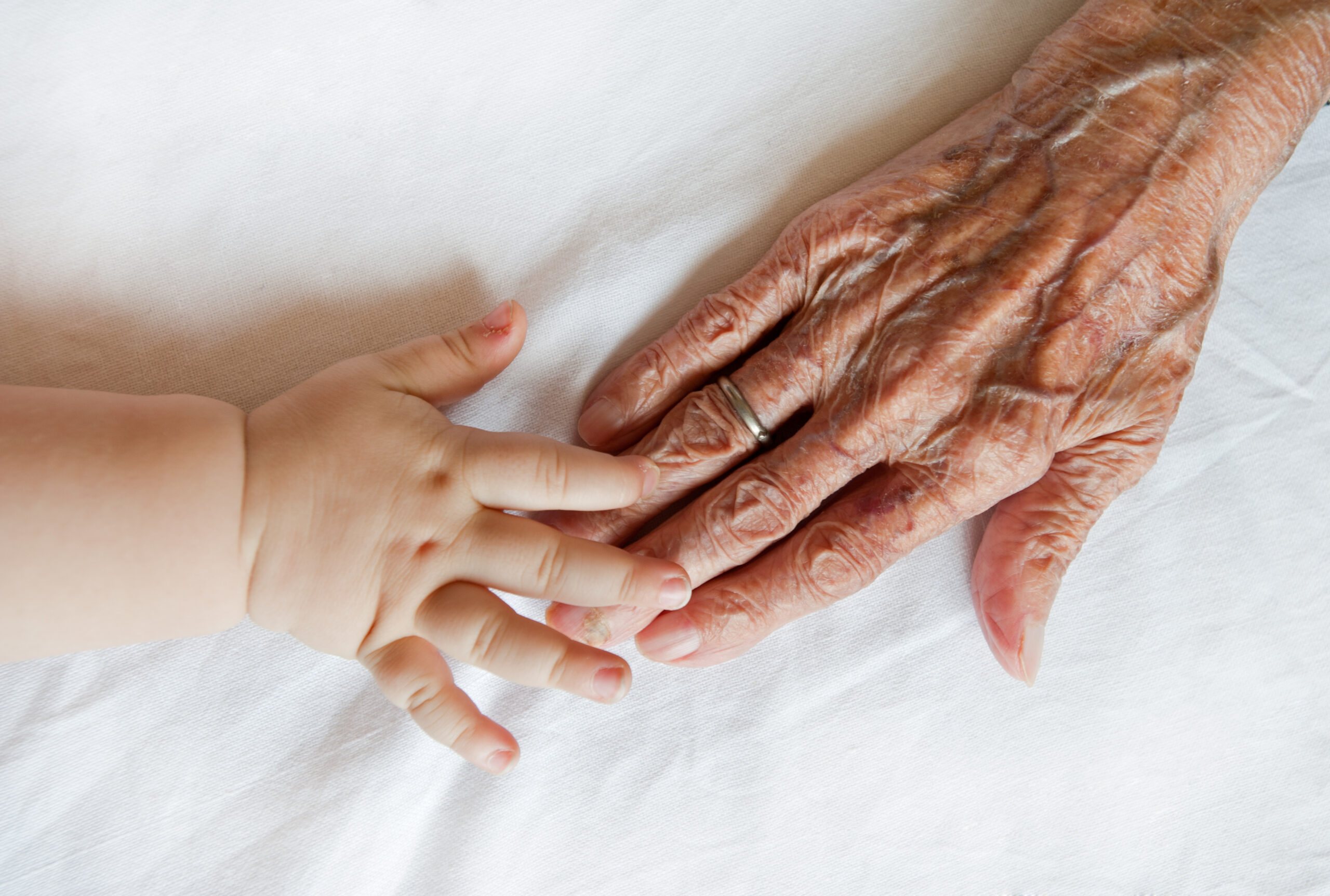 Photo of a grandparent and child's hands