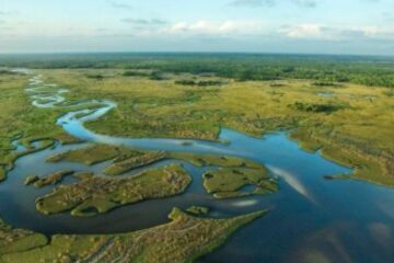 Aerial photo of the Florida Everglades