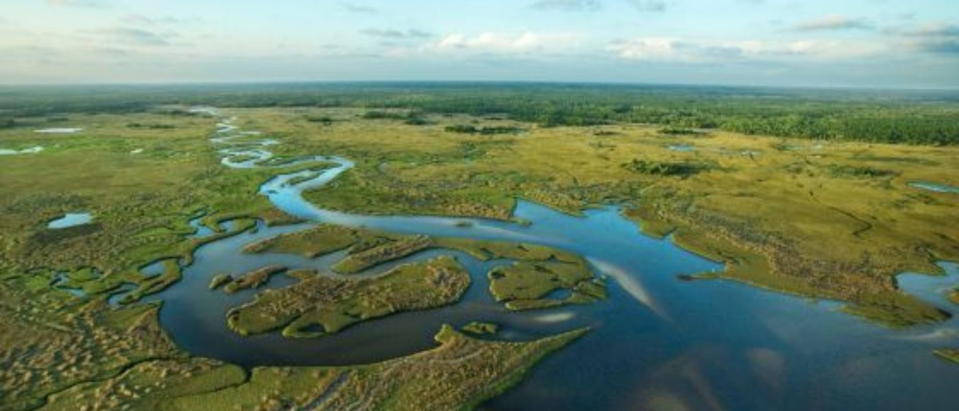 Aerial photo of the Florida Everglades