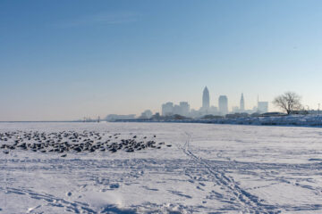 Snowy landscape with downtown Cleveland in the background